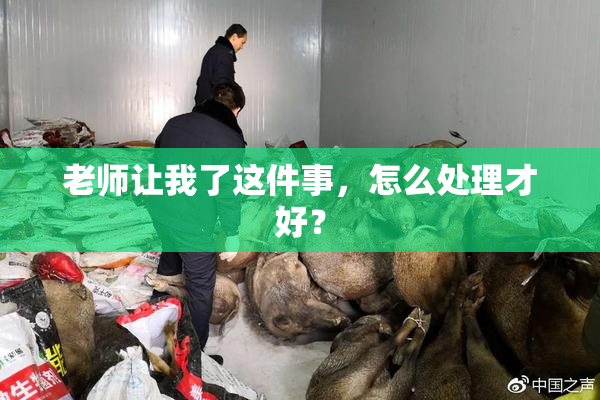 老师让我了这件事，怎么处理才好？