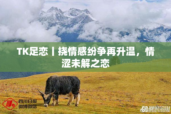 TK足恋丨挠情感纷争再升温，情涩未解之恋