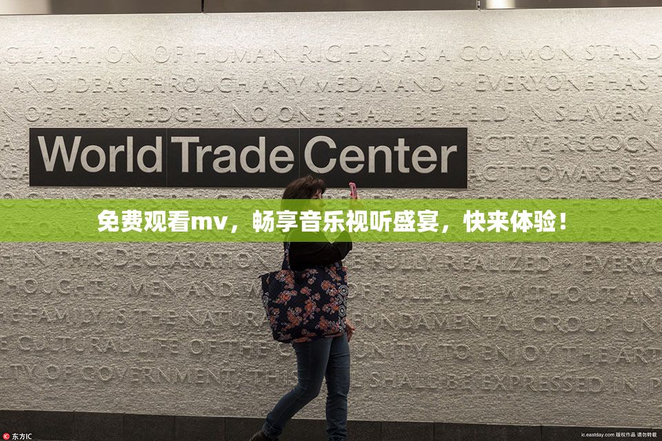 免费观看mv，畅享音乐视听盛宴，快来体验！