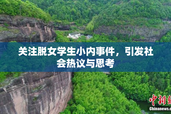 关注脱女学生小内事件，引发社会热议与思考