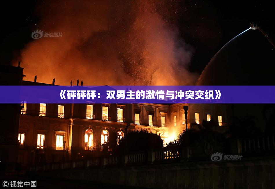 《砰砰砰：双男主的激情与冲突交织》