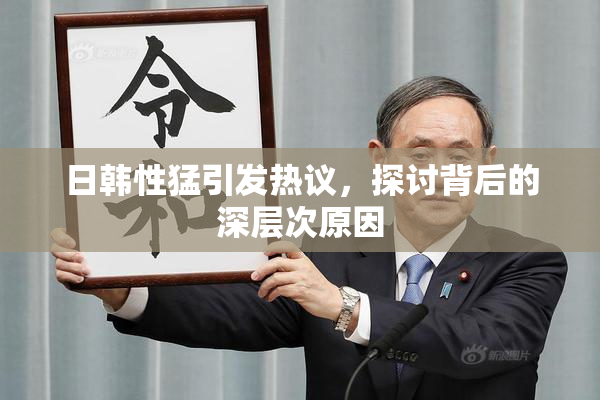 日韩性猛引发热议，探讨背后的深层次原因