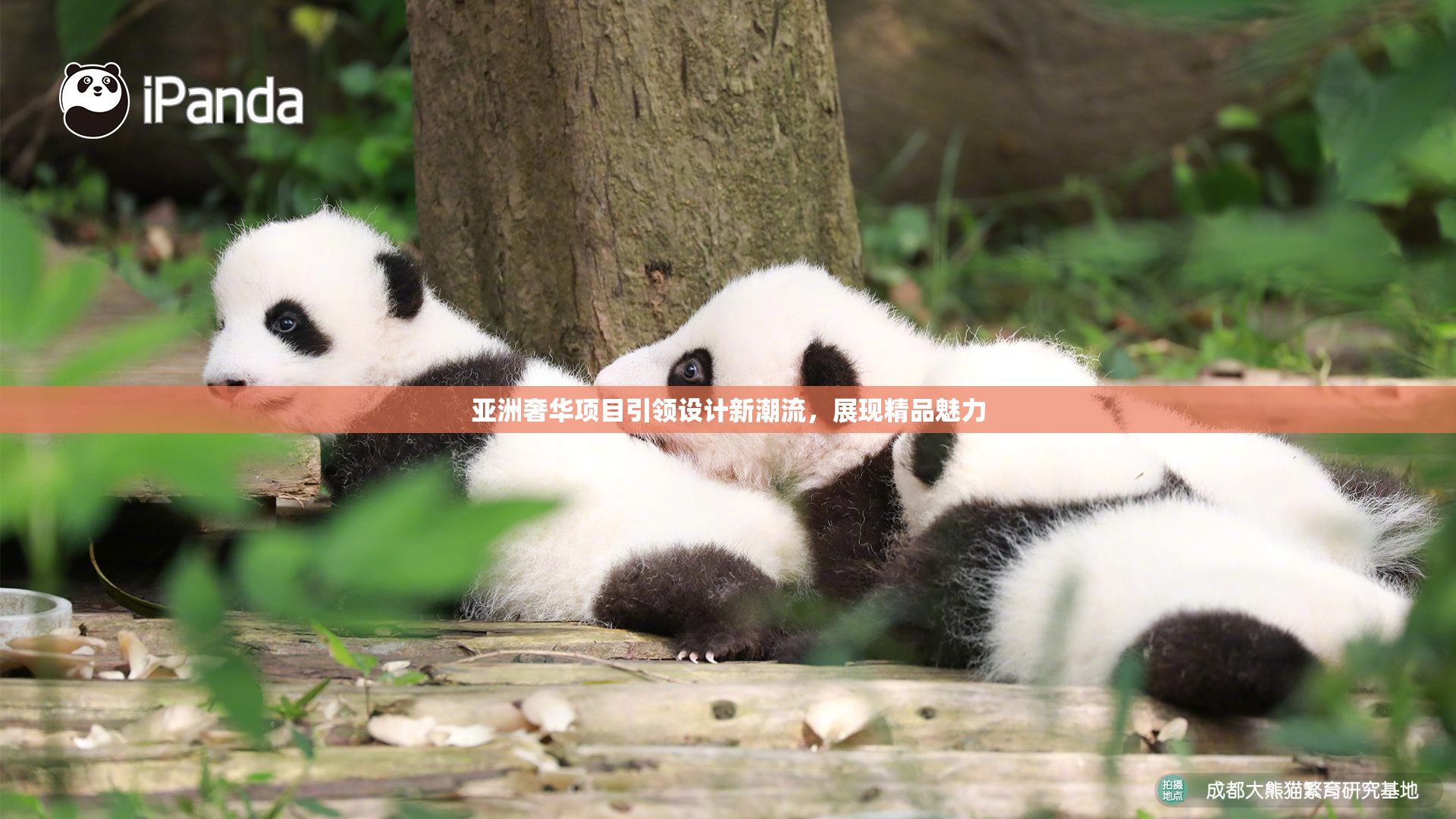 亚洲奢华项目引领设计新潮流，展现精品魅力