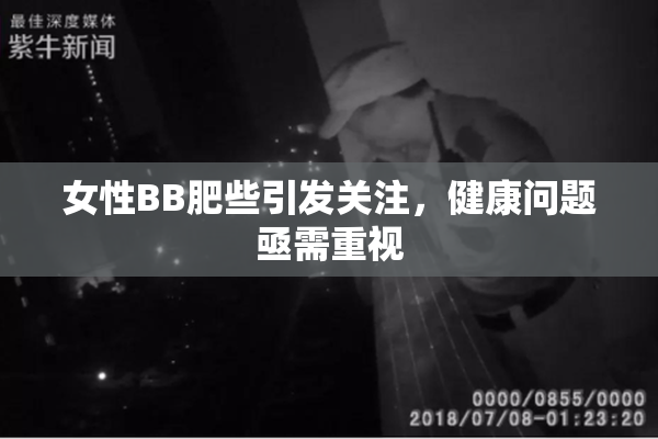 女性BB肥些引发关注，健康问题亟需重视