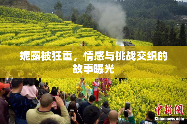 妮露被狂重，情感与挑战交织的故事曝光