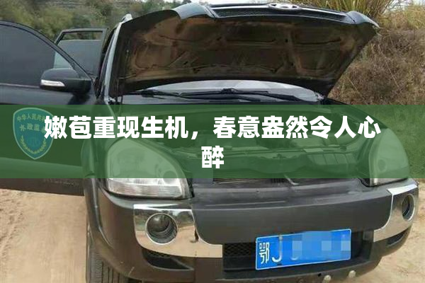 嫩苞重现生机，春意盎然令人心醉