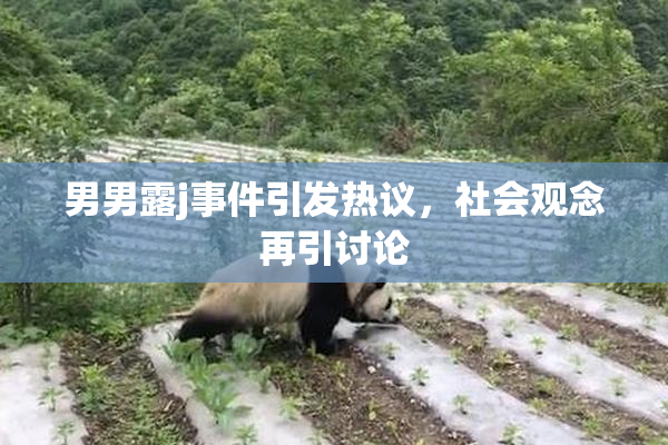 男男露j事件引发热议，社会观念再引讨论