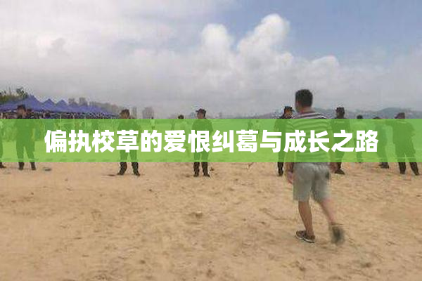 偏执校草的爱恨纠葛与成长之路