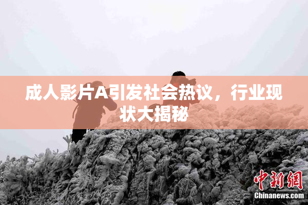 成人影片A引发社会热议，行业现状大揭秘