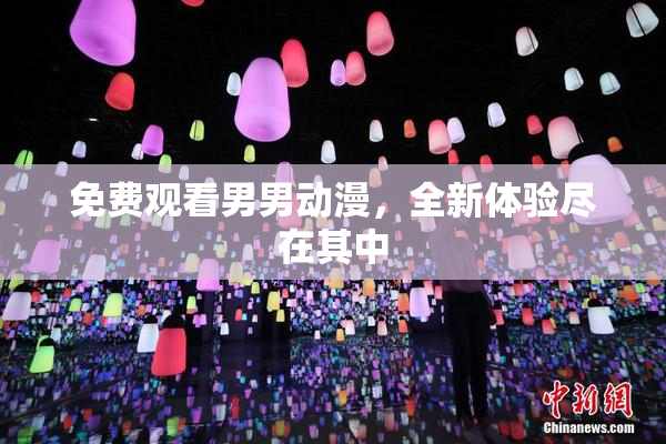 免费观看男男动漫，全新体验尽在其中