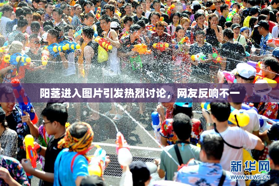 阳茎进入图片引发热烈讨论，网友反响不一