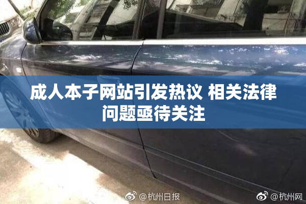 成人本子网站引发热议 相关法律问题亟待关注