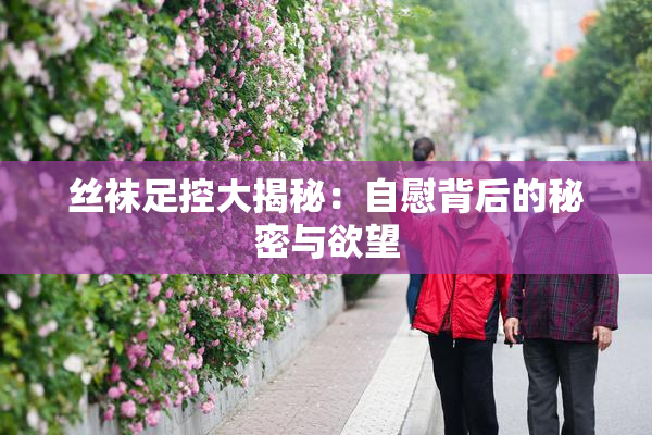 丝袜足控大揭秘：自慰背后的秘密与欲望
