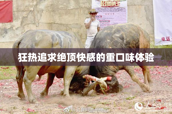狂热追求绝顶快感的重口味体验