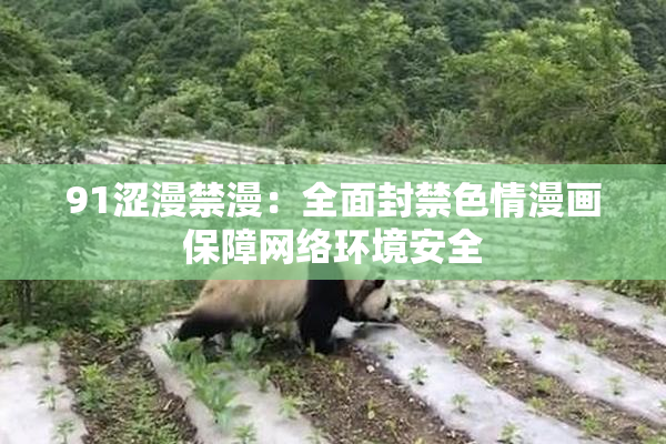 91涩漫禁漫：全面封禁色情漫画保障网络环境安全