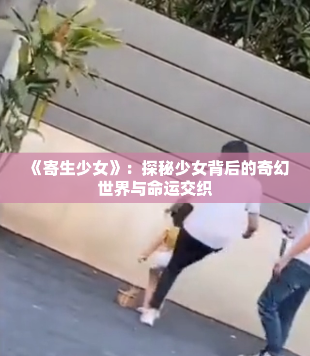 《寄生少女》：探秘少女背后的奇幻世界与命运交织