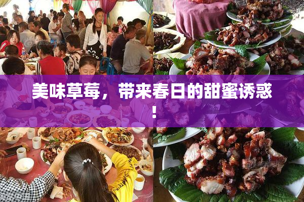 美味草莓，带来春日的甜蜜诱惑！