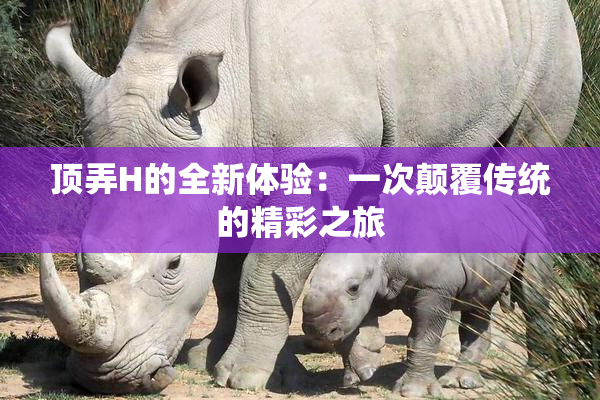 顶弄H的全新体验：一次颠覆传统的精彩之旅