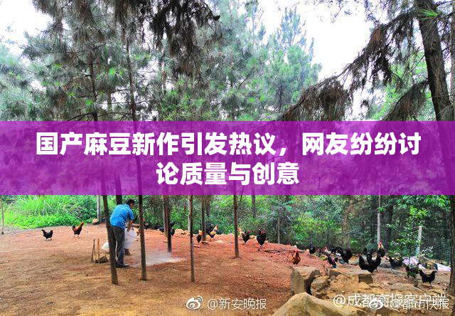 国产麻豆新作引发热议，网友纷纷讨论质量与创意