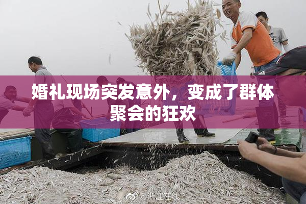 婚礼现场突发意外，变成了群体聚会的狂欢