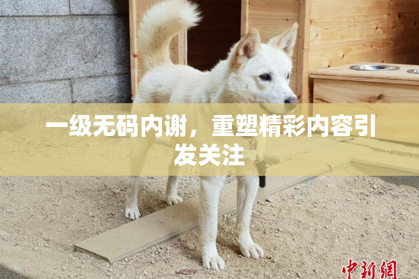 一级无码内谢，重塑精彩内容引发关注