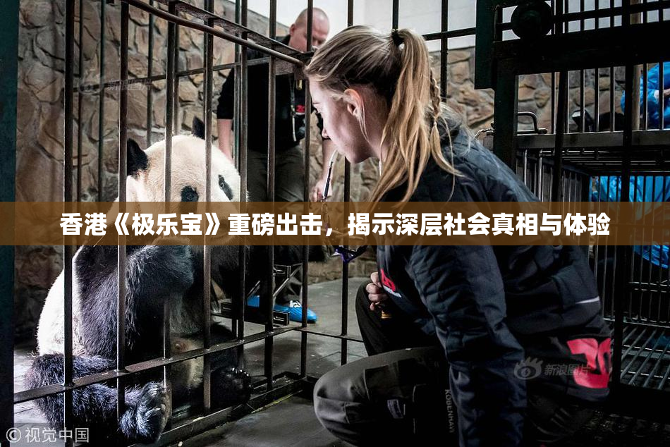 香港《极乐宝》重磅出击，揭示深层社会真相与体验