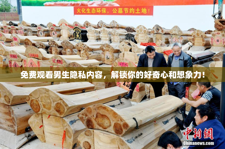 免费观看男生隐私内容，解锁你的好奇心和想象力！