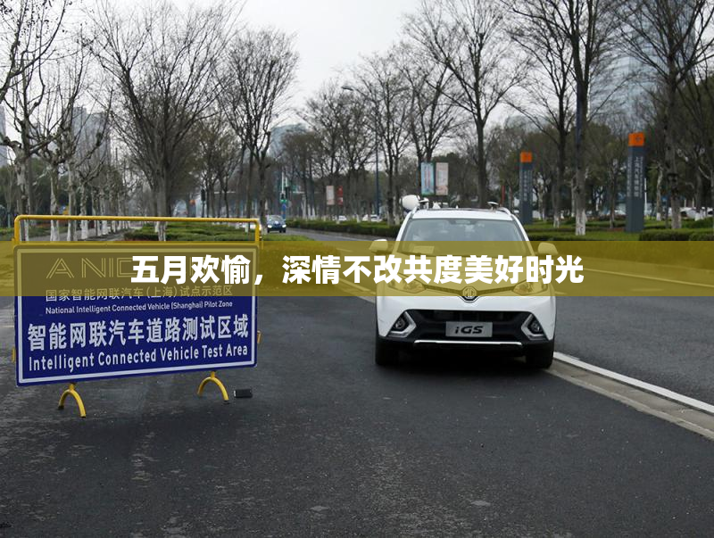 五月欢愉，深情不改共度美好时光