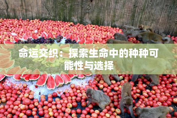 命运交织：探索生命中的种种可能性与选择