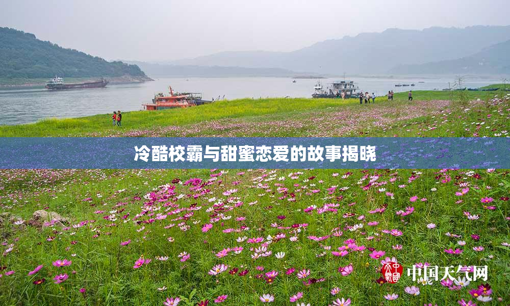 冷酷校霸与甜蜜恋爱的故事揭晓