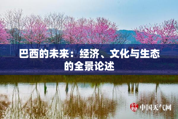巴西的未来：经济、文化与生态的全景论述