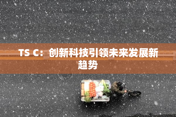 TS C：创新科技引领未来发展新趋势