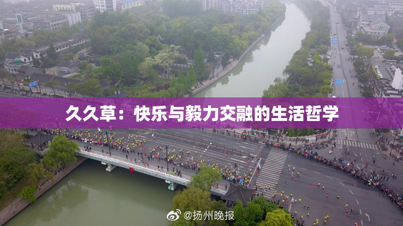 久久草：快乐与毅力交融的生活哲学