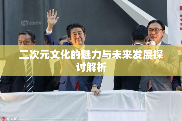 二次元文化的魅力与未来发展探讨解析