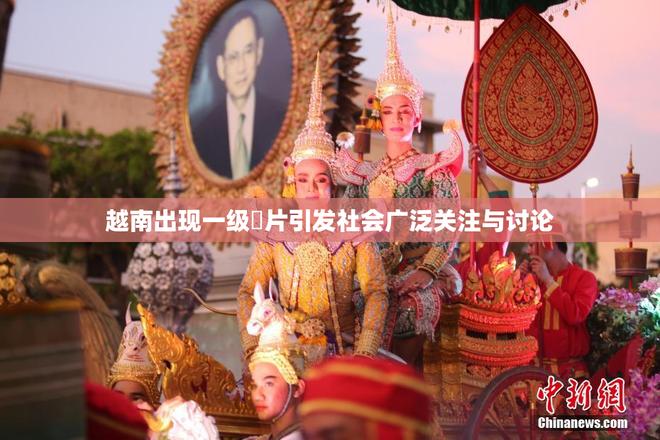 越南出现一级婬片引发社会广泛关注与讨论