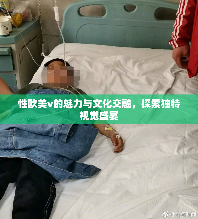 性欧美v的魅力与文化交融，探索独特视觉盛宴