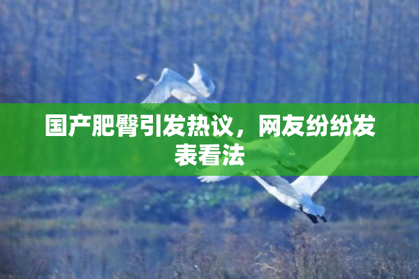 国产肥臀引发热议，网友纷纷发表看法