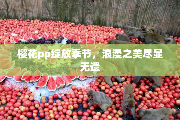 樱花pp绽放季节，浪漫之美尽显无遗