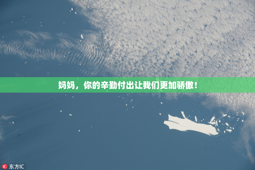 妈妈，你的辛勤付出让我们更加骄傲！