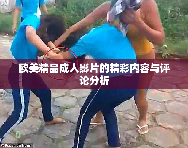 欧美精品成人影片的精彩内容与评论分析