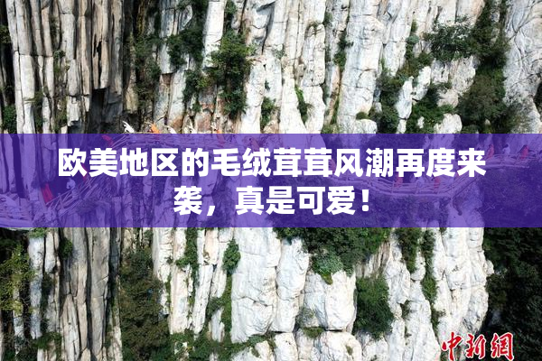 欧美地区的毛绒茸茸风潮再度来袭，真是可爱！