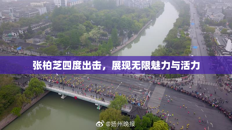 张柏芝四度出击，展现无限魅力与活力