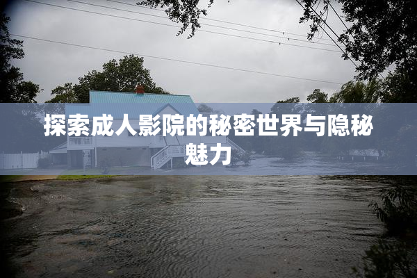 探索成人影院的秘密世界与隐秘魅力