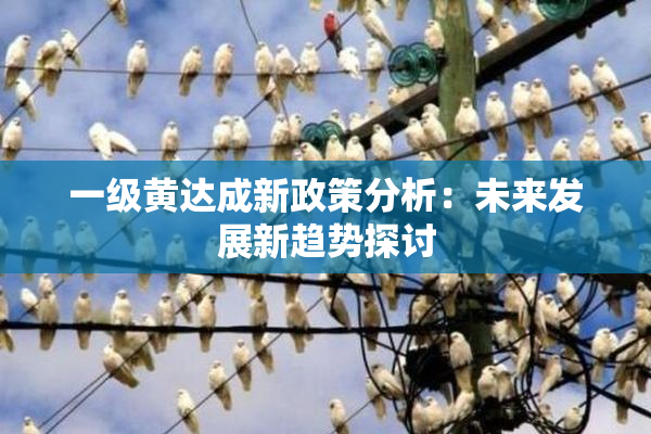 一级黄达成新政策分析：未来发展新趋势探讨