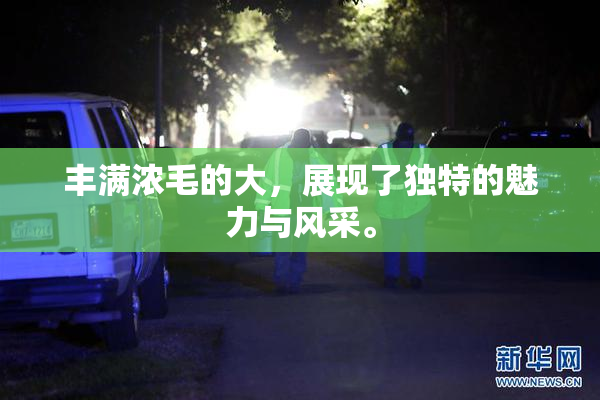 丰满浓毛的大，展现了独特的魅力与风采。