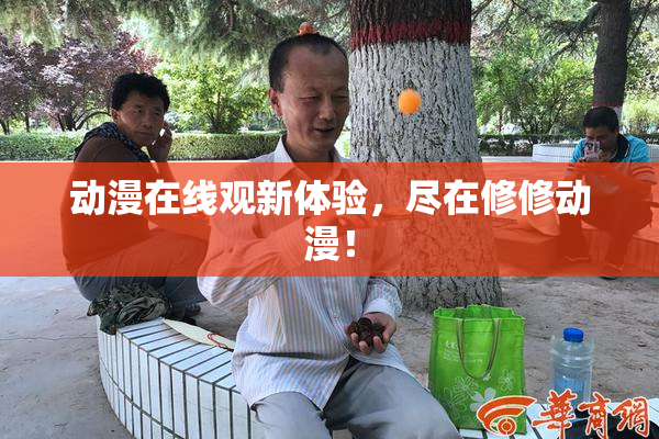 动漫在线观新体验，尽在修修动漫！