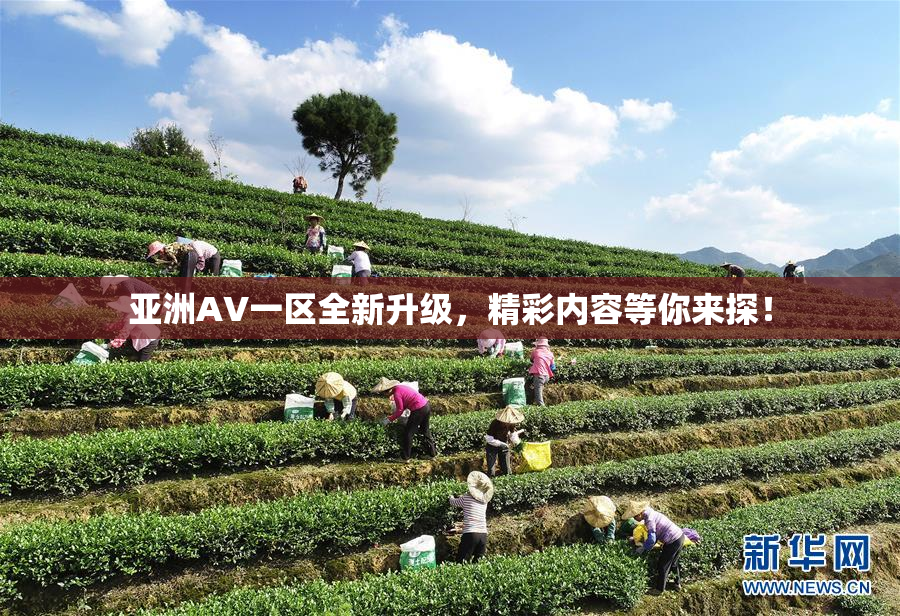 亚洲AV一区全新升级，精彩内容等你来探！