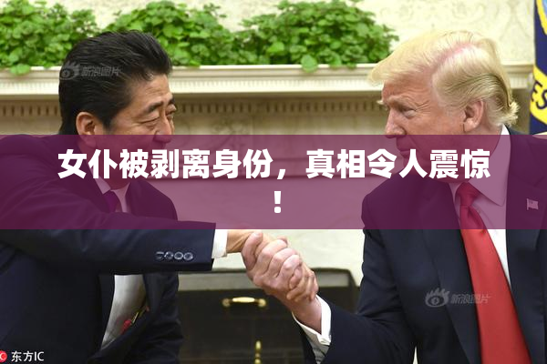 女仆被剥离身份，真相令人震惊！