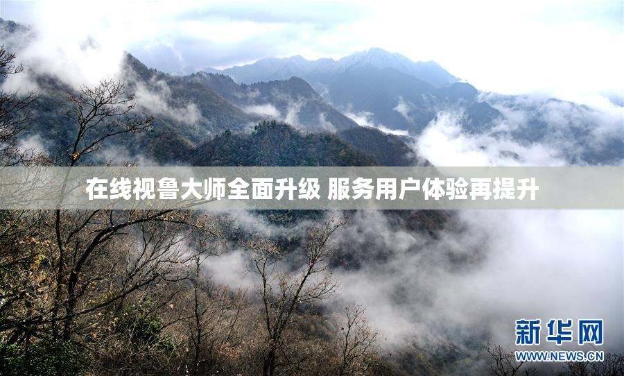 在线视鲁大师全面升级 服务用户体验再提升