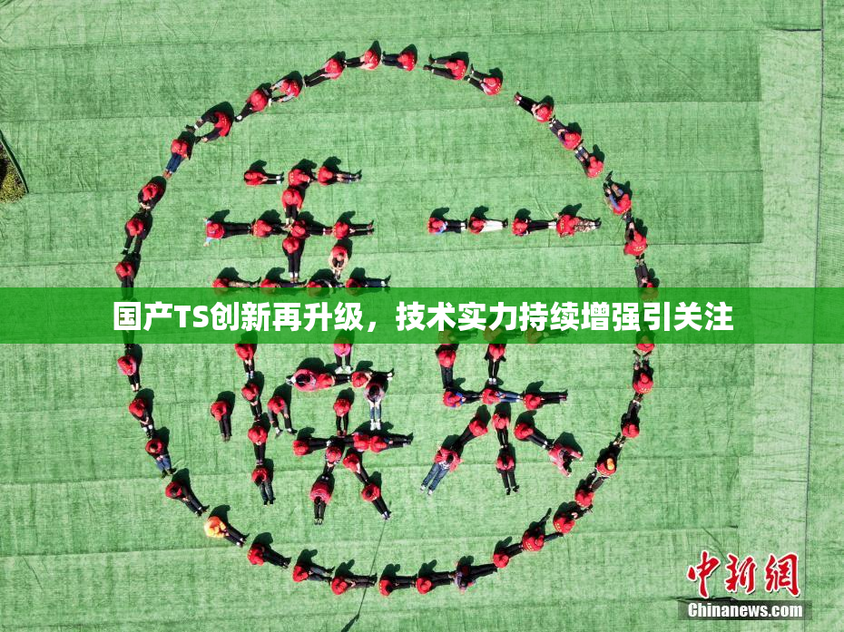 国产TS创新再升级，技术实力持续增强引关注